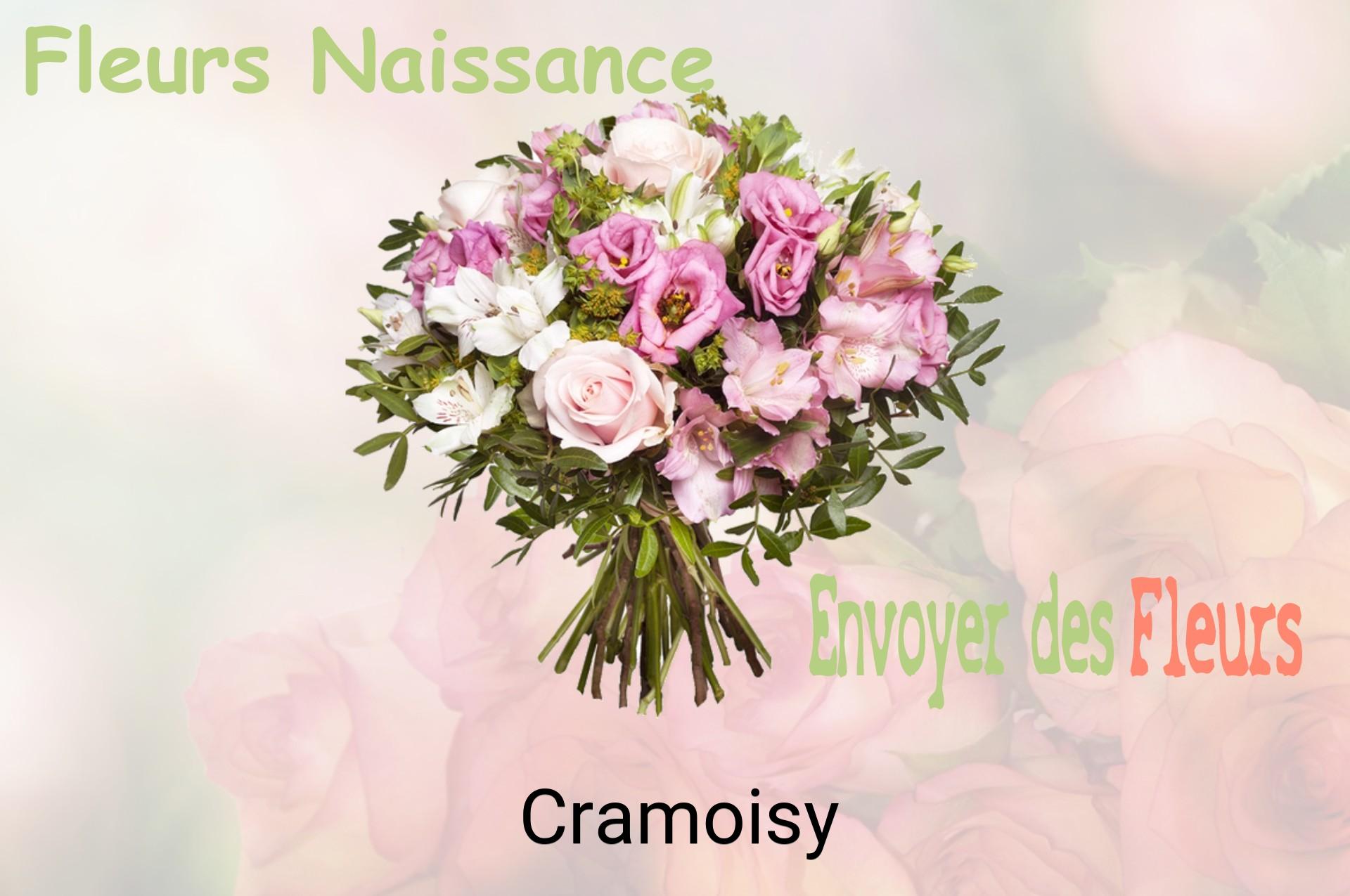 Bouquet de fleurs de naissance livré à Cramoisy